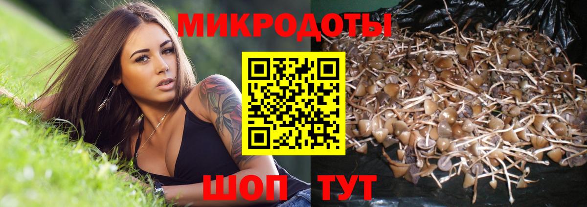 Галлюциногенные грибы MAGIC MUSHROOMS  Вход с VPN  Псилоцибиновые грибы прущие грибы  Воркута 