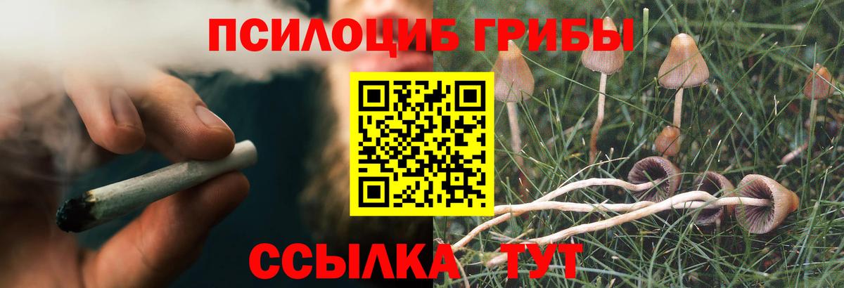 Псилоцибиновые грибы GOLDEN TEACHER Воркута